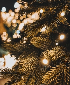 Christmas Lights