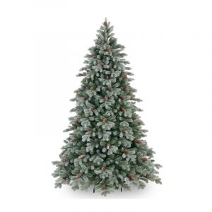 7.5 ft Frosted Colorado Spruce