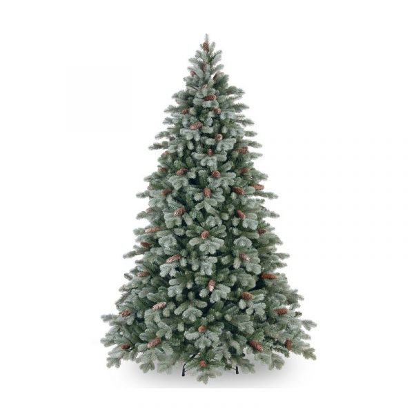 7.5 ft Frosted Colorado Spruce
