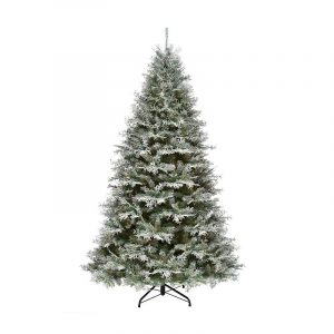 7.5 ft Snowy Stoninghton Fir