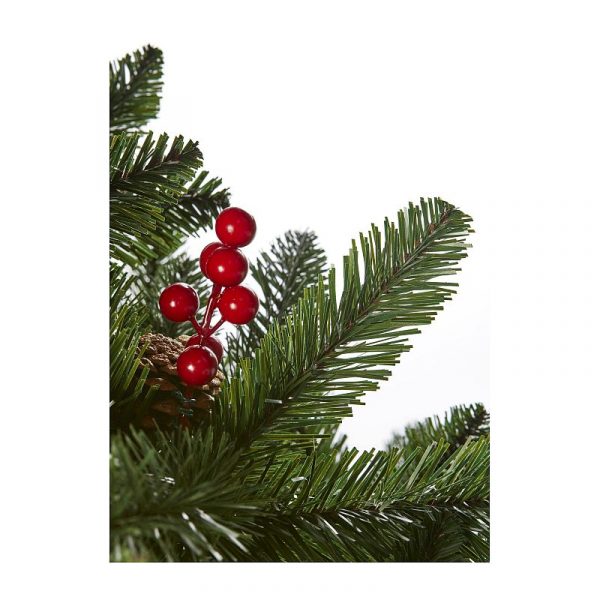 2.1M Rocky Mountain Pine with Berries and Cones - Image 2