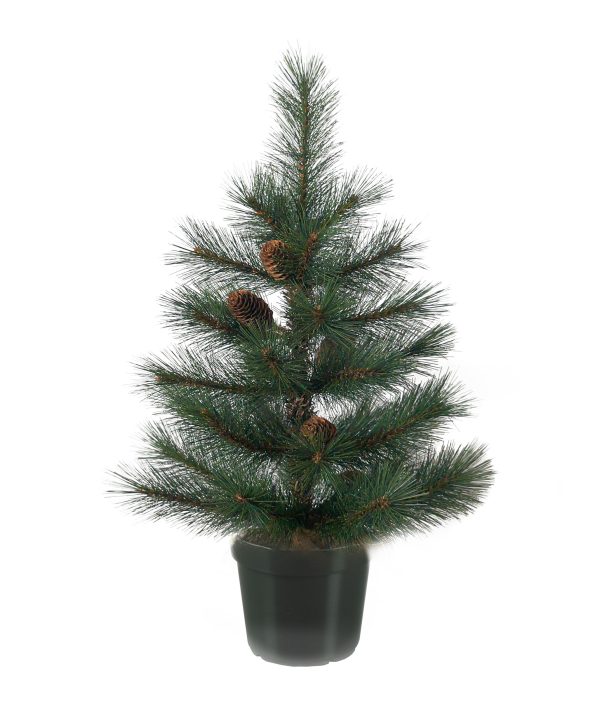 4' Forest Pine Potted Tree with Cones