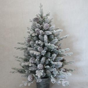 Snowy Dorchester Pine 4ft Tree SILVER Pot with Cones