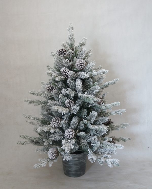 Snowy Dorchester Pine 4ft Tree SILVER Pot with Cones
