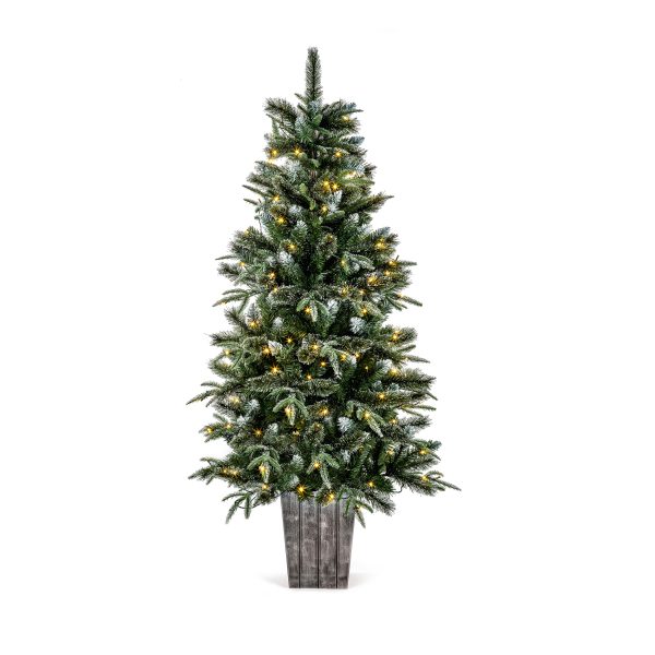 1.5M Pre Lit Fairmont Fir