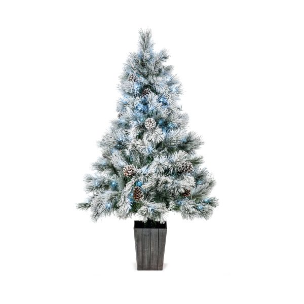1.5M Pre Lit Lumi Spruce