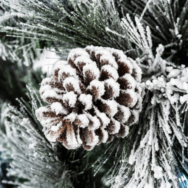 1.5M Pre Lit Lumi Spruce - Image 4
