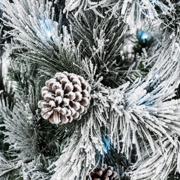 1.5M Pre Lit Lumi Spruce - Image 6