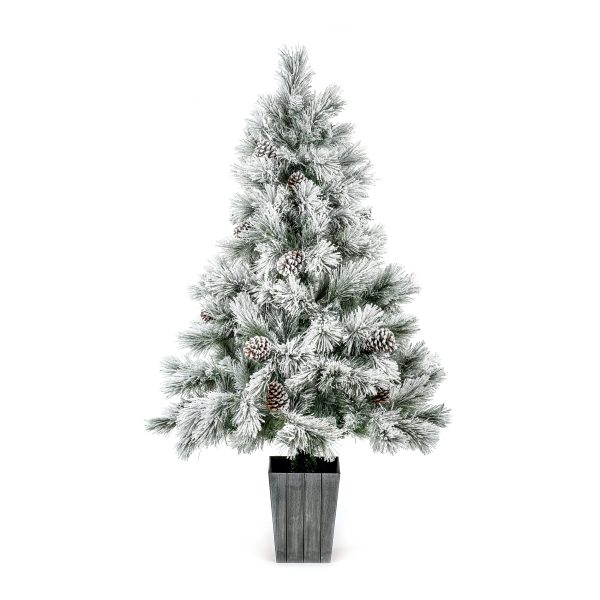 1.5M Pre Lit Lumi Spruce - Image 7