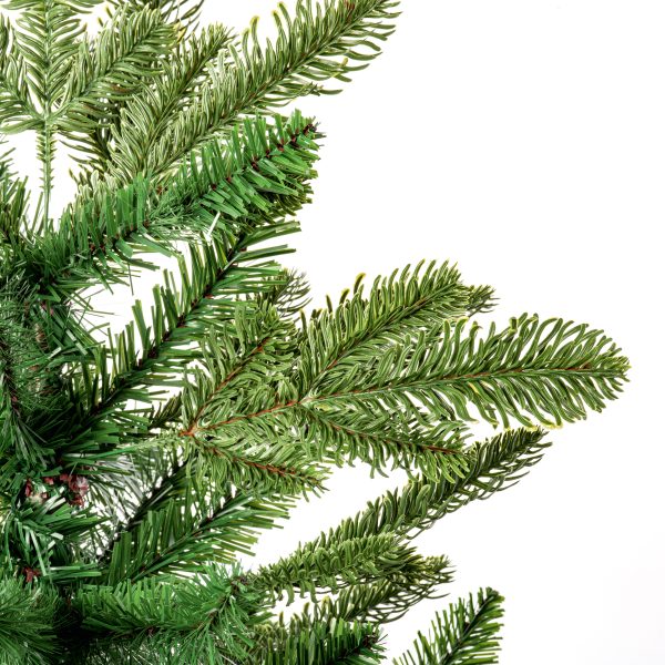 90cm Nordmann Fir - Image 3
