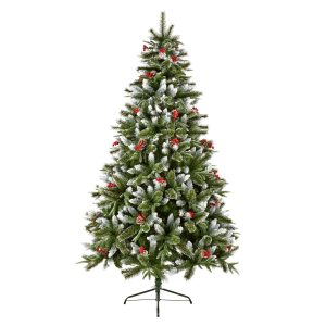 2.1M New Jersey Spruce