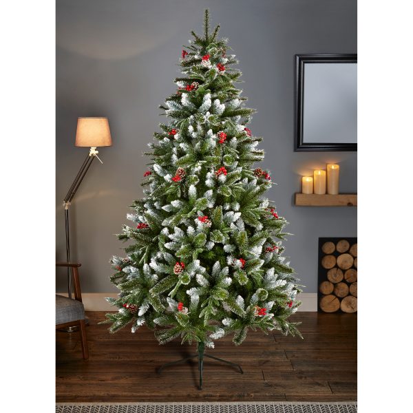 2.1M New Jersey Spruce - Image 2