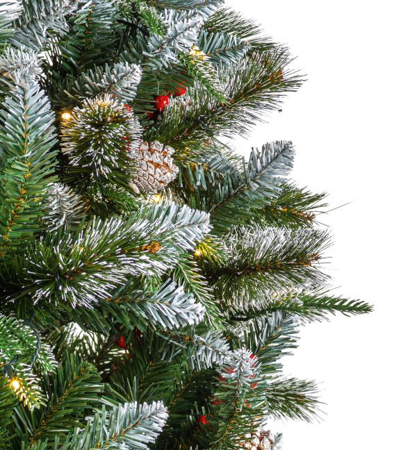 2.1M New Jersey Spruce - Image 3