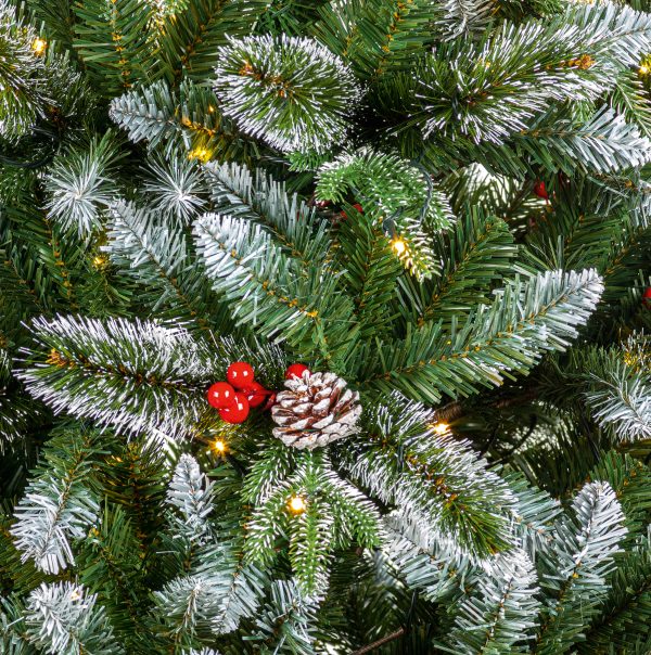 2.1M New Jersey Spruce - Image 4