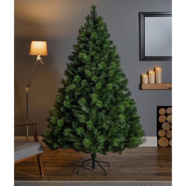 2.1M Nevada Fir Tree - Image 2