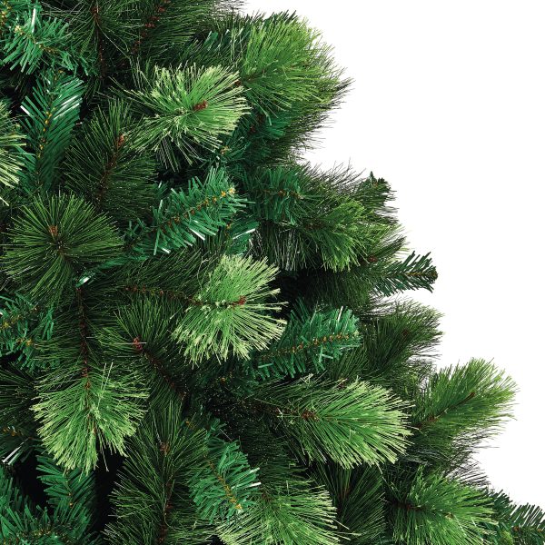2.1M Nevada Fir Tree - Image 4