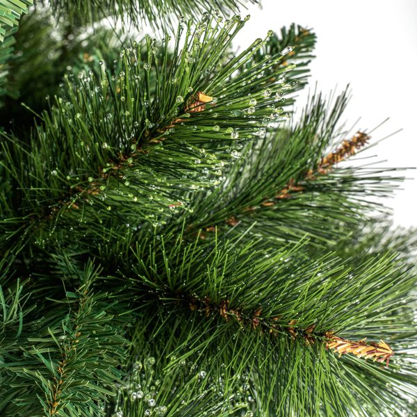 2.1M Ridgemere Pine - Image 3