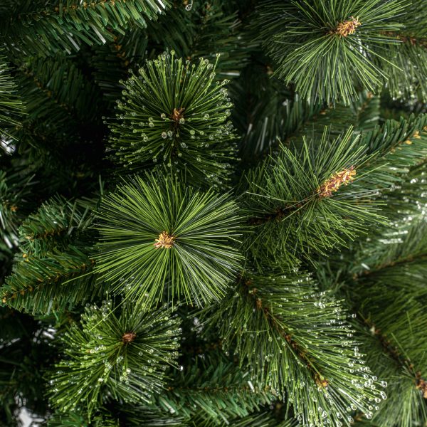 2.1M Ridgemere Pine - Image 4