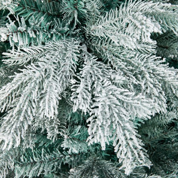 2.4M Frozen Meribel Spruce - Image 4