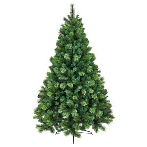 2.4M Nevada Fir