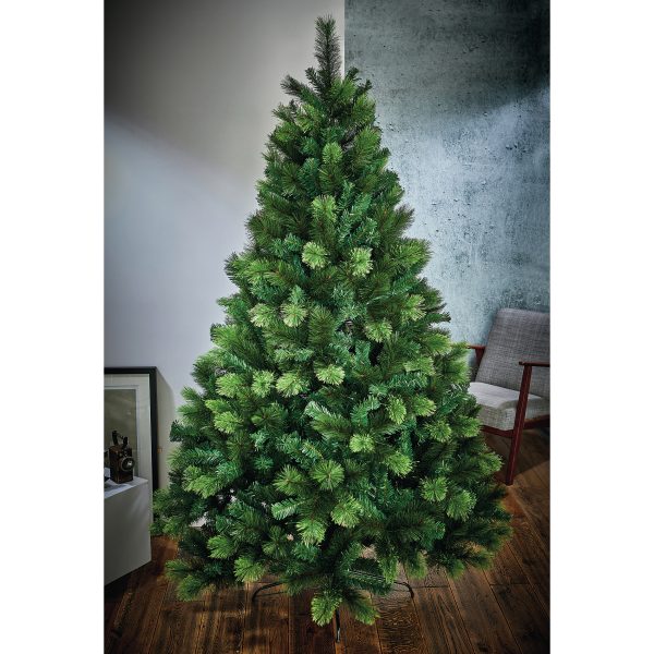 2.4M Nevada Fir - Image 2