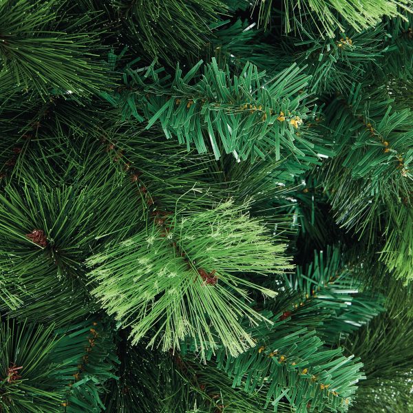 2.4M Nevada Fir - Image 3