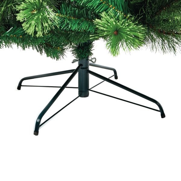 2.4M Nevada Fir - Image 5
