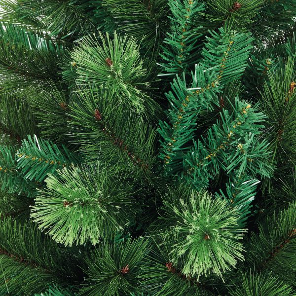 2.4M Nevada Fir - Image 6